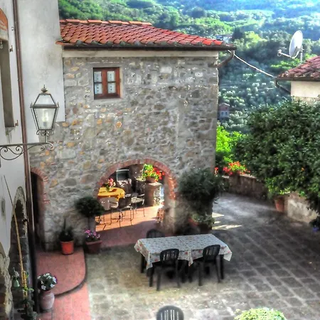 Olivi