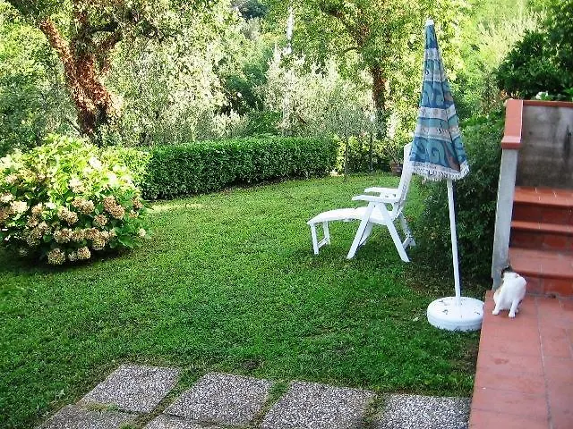 דירה Olivi *