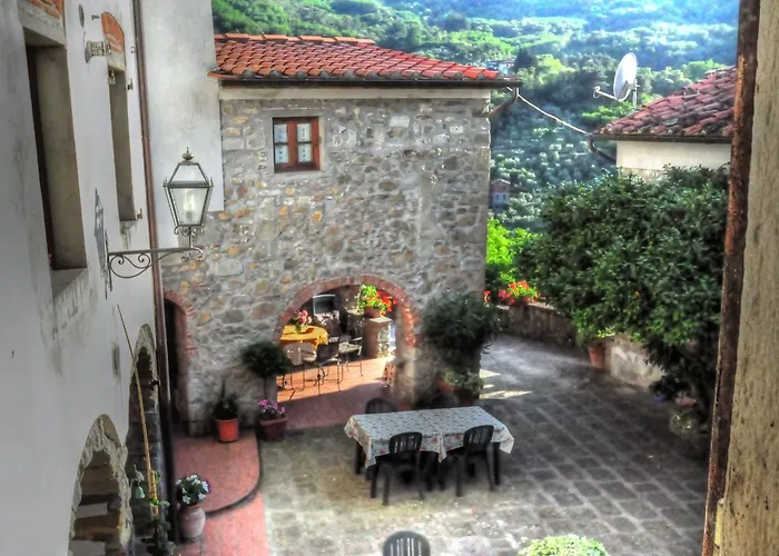 Olivi