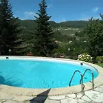 Olivi