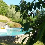 Olivi * Giampierone
