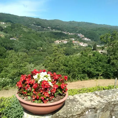 Olivi Apartamento *