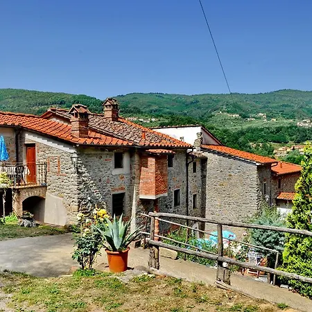 Olivi *