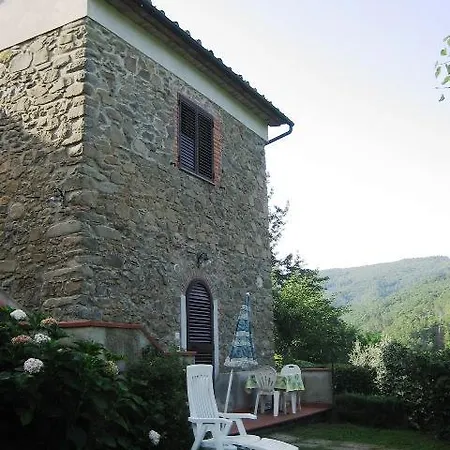 Olivi * Giampierone