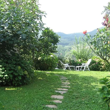 Olivi Apartamento *
