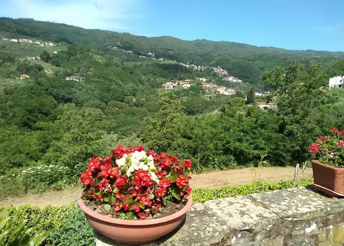 Olivi Apartamento *