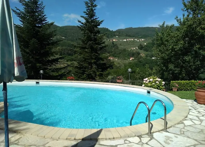 Olivi