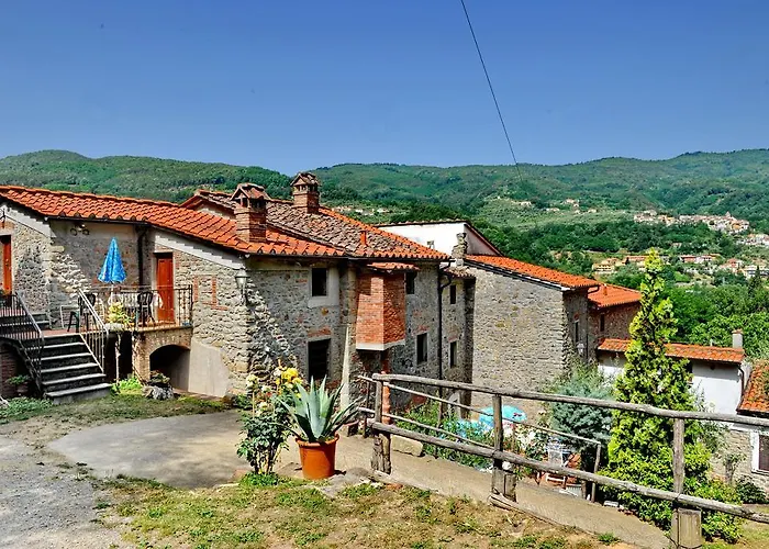 Olivi *