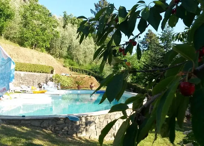 Olivi * Giampierone